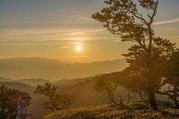大台ケ原山で見た夕日を浴びて輝く幻想的な情景