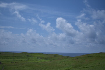 Obraz premium Coastal Green Hills Ocean View