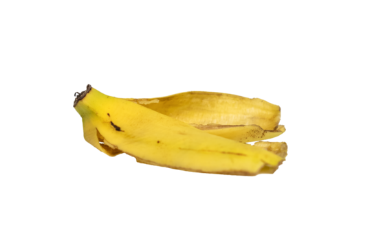 close up of yellow banana skin fall on ground isolated on white background. transparent png
