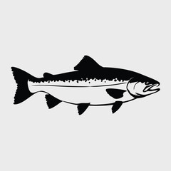 Vector silhouette illustration of a salmon fish for fishing and aquatic themes silhouette White background