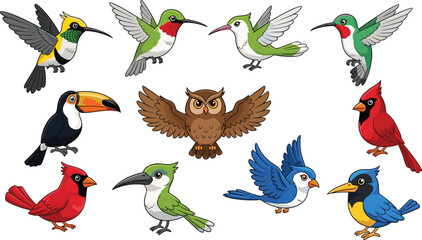 Obraz premium Cartoon bird icon set, colorful species illustration, toucan owl cardinal hummingbird, playful animal character collection, vector design, vibrant and stylized style