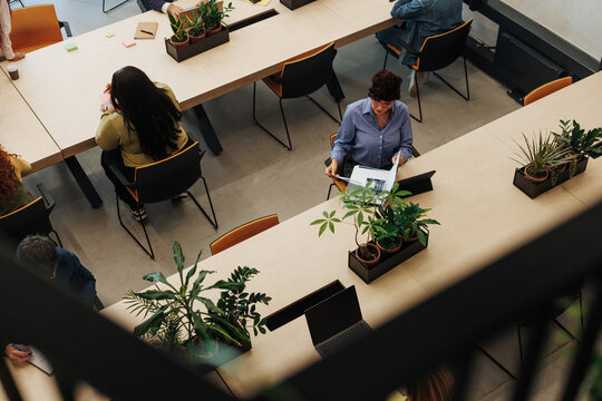 Coworkers sitting at shared desks working and reading in modern office with plants - Powered by Adobe
