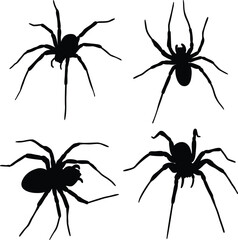 Black Realistic Spider Isolated Flat Silhouette Creepy Illustration Design