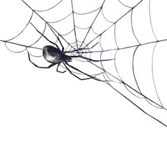 Spider hanging, crawling on a web. Gothic black grey Halloween decoration. Hand drawn Watercolor illustration for party card, invitation, Horror design element. Isolated on white background clipart 