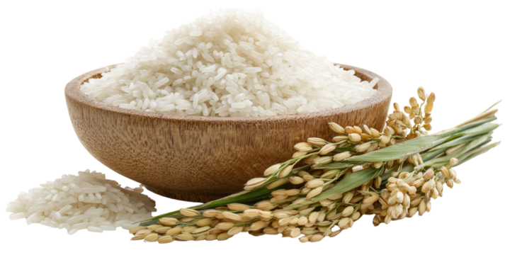 Bowl of white rice with rice plant isolated on transparent background