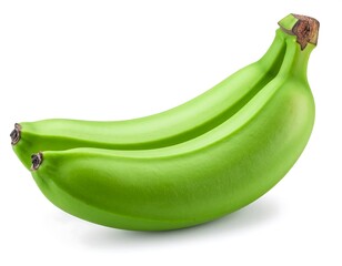 Two unripe green bananas