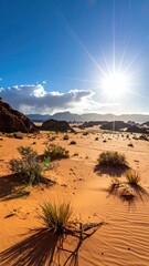 Desert landscape with sun shining