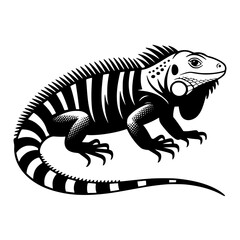 Vector art of black and white iguana