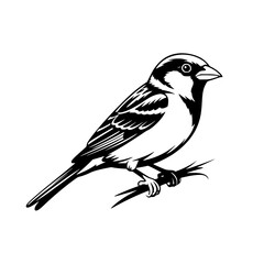 Vector art of sparrow bird illustration