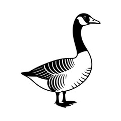 Vector art of canada goose
