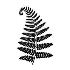 Vector art of black fern leaf