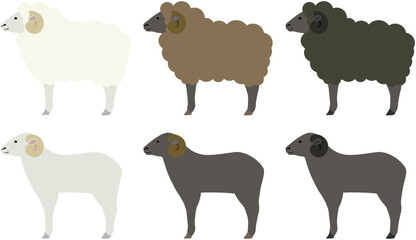 Set of Three Sheep Illustrations in Different Colors
