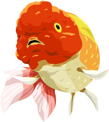 Colorful Ranchu Goldfish Illustration with Flowing Fins