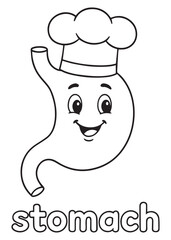 coloring book stomach chef with hat smiling, anatomy cartoon for kids