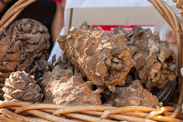 Pine cones in a wooden barrel