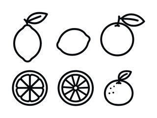 Black and white line art of lemons and oranges with sliced and whole fruits