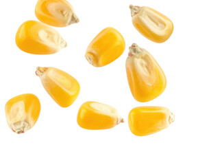 Yellow corn kernels scattered, showcasing their glossy texture and unique shapes.