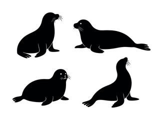 Silhouette collection of sea lions in various poses on white background