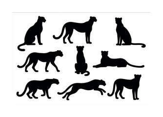 Cheetah silhouette collection: various poses and movements on white background
