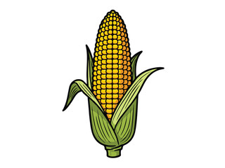 Obraz premium vector illustration of corn with a white background