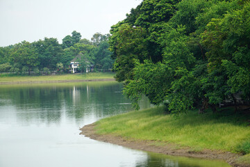 Obraz premium The trees are lush and green in the pond by the water. Fresh green lawns in the park. Blur nature bokeh green park trees in morning. 