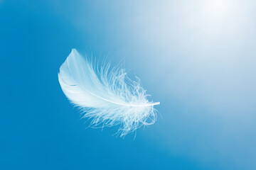 Soft White Feather Floating on a Blue Sky. Fluffy Downy. Freedom, Floating Freely, Peace. Softness of Feathers Falling in Heavenly.