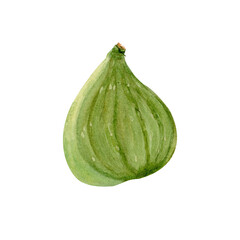 Green fig fruit. Hand-painted watercolor illustration isolated on white. Perfect for fresh food design, packaging, patterns, farmers market decor, healthy lifestyle, Mediterranean cuisine, eco