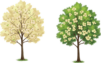 Obraz premium Beautiful blooming dogwood trees with white flowers, spring season landscape illustration, natural floral background, botanical design element, seasonal nature scene, decorative 