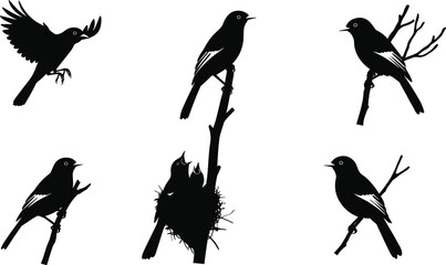 Bird silhouettes perched on branches, flying bird, baby birds in nest, nature wildlife scene, black vector illustration, isolated on white background