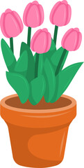 Cartoon Pink Tulips in Terracotta Pot Isolated Vector Illustration
