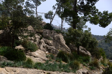 Landscape in the Mountains Serra Tramuntana on the Island Mallorca