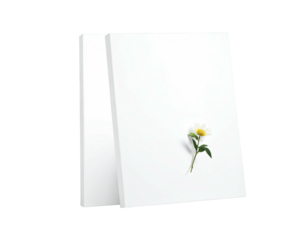 Stack of white papers with a daisy resting on the top sheet against black background