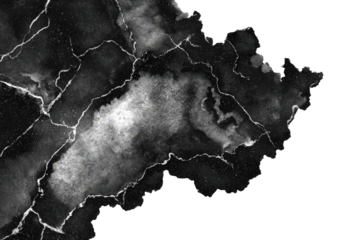 Abstract White Texture on Black Background Illustrating Structural Details and Patterns