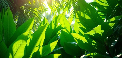 Lush green tropical foliage, vibrant textures, sunlight dappled leaves,  design,  hibiscus