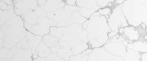 Obraz premium Swirling white and grey marble table top with subtle veining, tabletop, marble