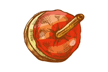 Hand drawn vintage sketch of red caramel toffee apple with glossy glaze on stick, isolated color illustration