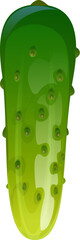 Cartoon raw cucumber vegetable, whole ripe garden veggie with pimples. Isolated vector crisp and refreshing veg, bursts with hydration. Its green skin encases a crunchy texture and mild flavor