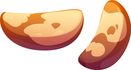 Cartoon raw ripe brazil nut kernels. Isolated vector large, curved, smooth edible and peeled creamy seeds. Organic vegetarian food, rich in selenium. Healthy tropical snack, natural cooking ingredient