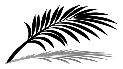 Gray Palm Frond Silhouette with Subtle Detail on Black leaf plant