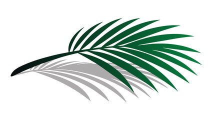 Green and Gray Palm Frond Silhouette on Black Background leaf plant