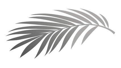 Stylized Gray Palm Frond Silhouette on Black Background leaf plant
