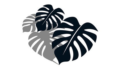 Arrangement of Monstera Leaves in Dark Blue and Gray Tones overlay sunmmer