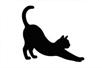 Black cat stretching with its back arched and front paws extended