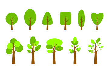 Set of tree and leaf collection, Cartoon tree icon, Different cute green plants, Garden and forest tree, Simple modern style. Flat vector illustration design isolated on white background.