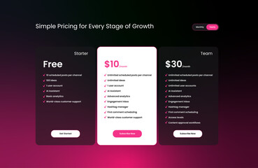 Elegant Dark UI Pricing Table with Pink & White Theme – Subscription Plan UI Design