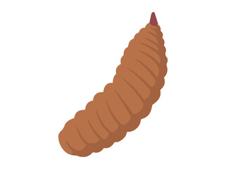 Larva Maggot Illustration