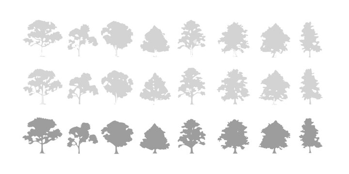 Collection of diverse grey tree silhouettes isolated on a white background for design elements