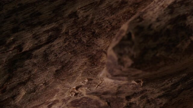Macro capture of agarwood with camera tracking upward, highlighting rough texture and natural patterns under smooth lighting effects. Video for advertising agarwood