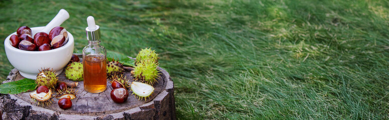 Extract and Horse Chestnut Fruits on a Wooden Stump. Natural Medicine