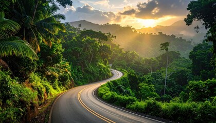Curvy road through a lush jungle